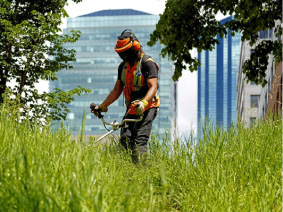 Mantenimiento de espacios verdes